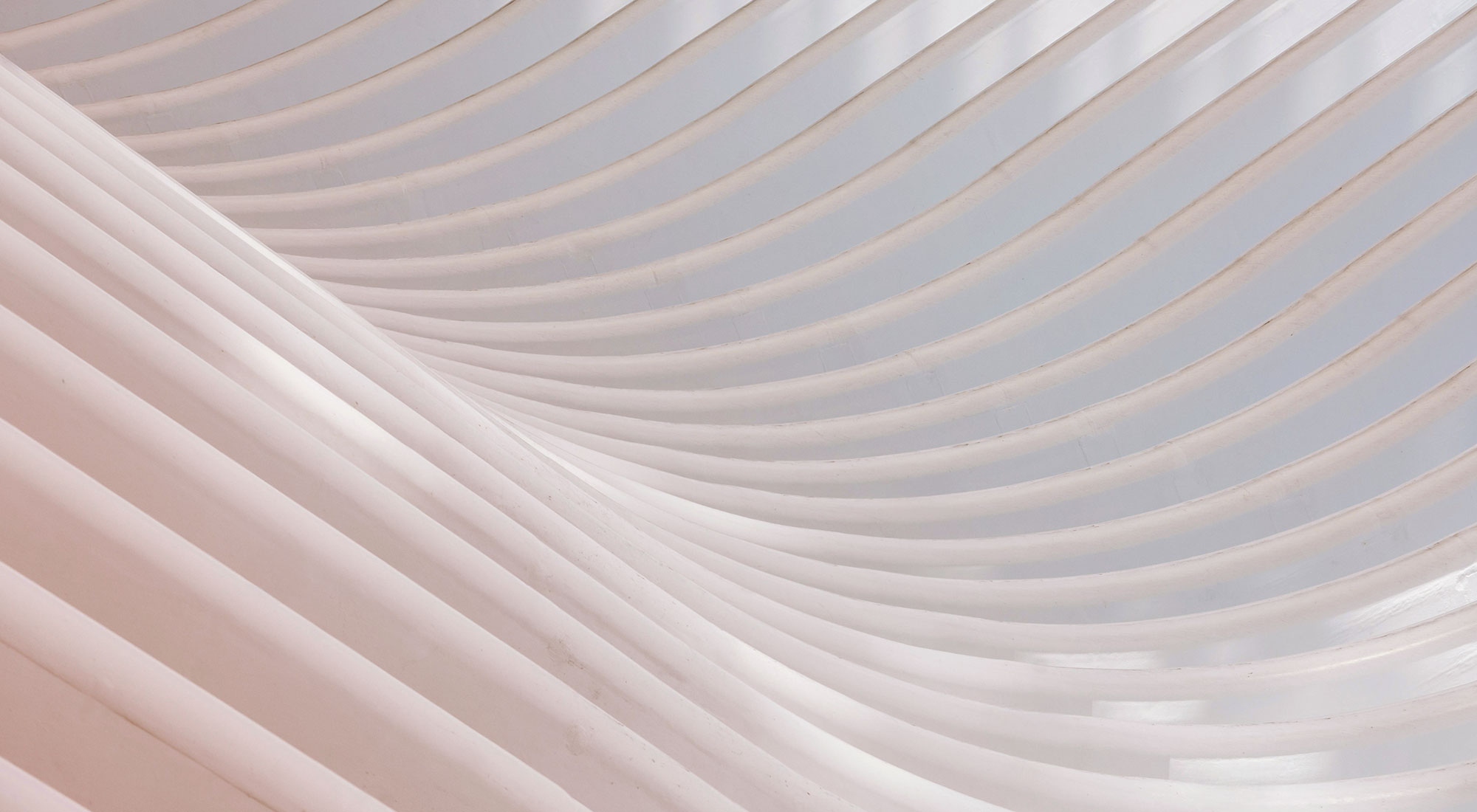 expertunity-main-header2
